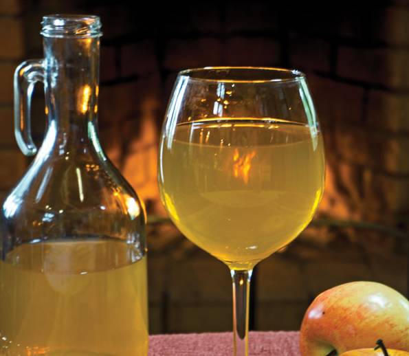 Домашнее яблочное вино пошаговый рецепт