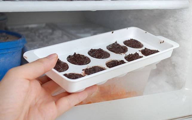 4. Приготовленную шоколадную смесь выложите в формочки. Можно использовать формочки для льда. Отправляйте шоколад в морозилку. 