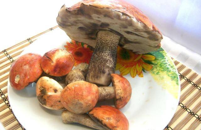 1. Прекрасный гриб - подосиновик. Его готовят все по-разному.  Я предлагаю сегодня классический рецепт подосиновиков, жареных на зиму.