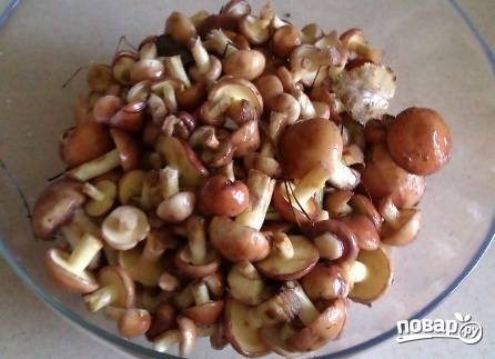 Маринованные грибы, пошаговый рецепт на ккал, фото, ингредиенты - Оксана Кузнецова