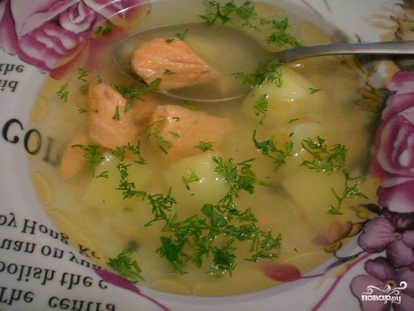Суп из красной рыбы с сыром: рецепт приготовления в мультиварке с фото