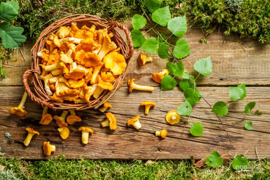 Простые блюда с лисичками: яичница, жареный картофель, соус и суп с грибами