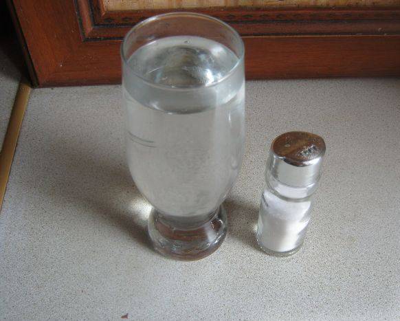 Воду нагреваем до 60 градусов, заливаем в стакан и солим, перемешиваем чтобы соль растворилась.