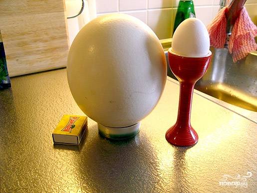Омлет из страусиного яйца — рецепт с фото пошагово