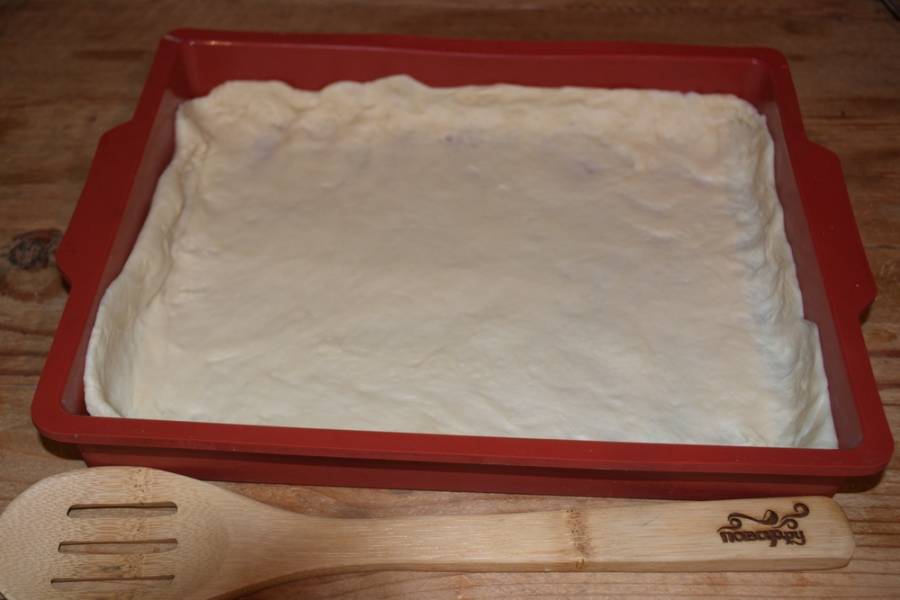 Раскатайте тесто в пласт. Выложите в форму для запекания.