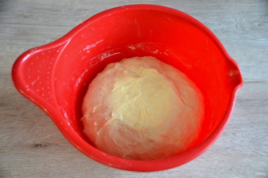 Пока тесто подходит, залейте кипятком на 5-10 минут курагу и изюм, промойте, слейте с них воду, просушите, курагу и ядра грецких орехов измельчите. За время брожения тесто должно увеличиться примерно в 2 раза.