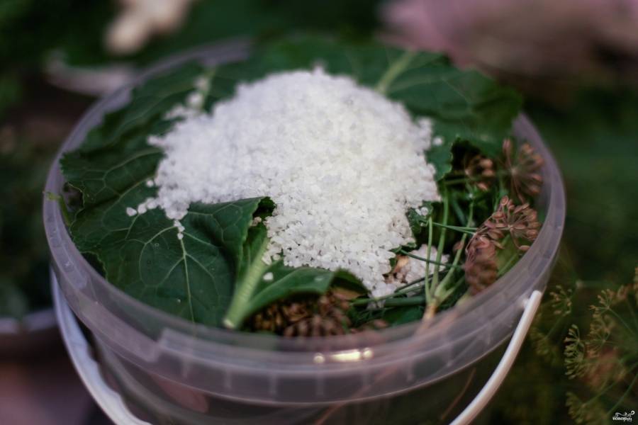 Накройте сверху огурцы листом хрена, насыпьте соли (4 ст.л. ложки на каждую пластиковую 4-литровую тару).
