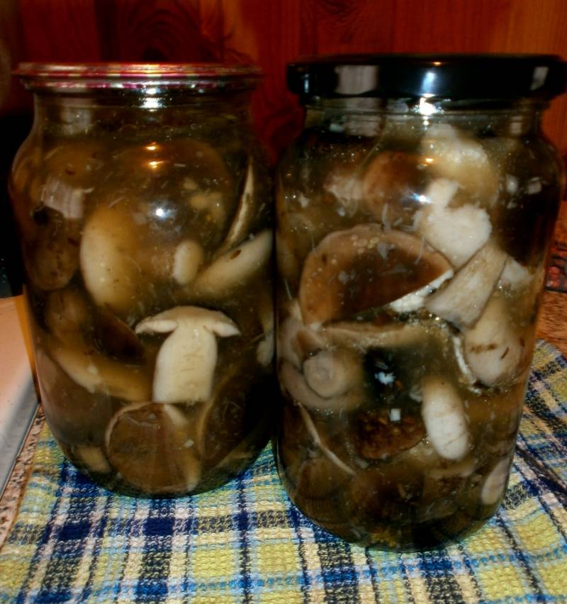 Выкладываем грибы в стерилизованные баночки, добавляем уксус (на 1 литр - 1 десертная ложка уксуса), заливаем маринадом. Закрываем баночки крышками и переворачиваем до полного остывания.