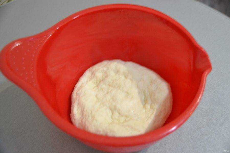 Смажьте растительным маслом края миски, положите в нее тесто, накройте пленкой или полотенцем и поставьте тесто на расстойку в теплое место на 1,5-2 часа.