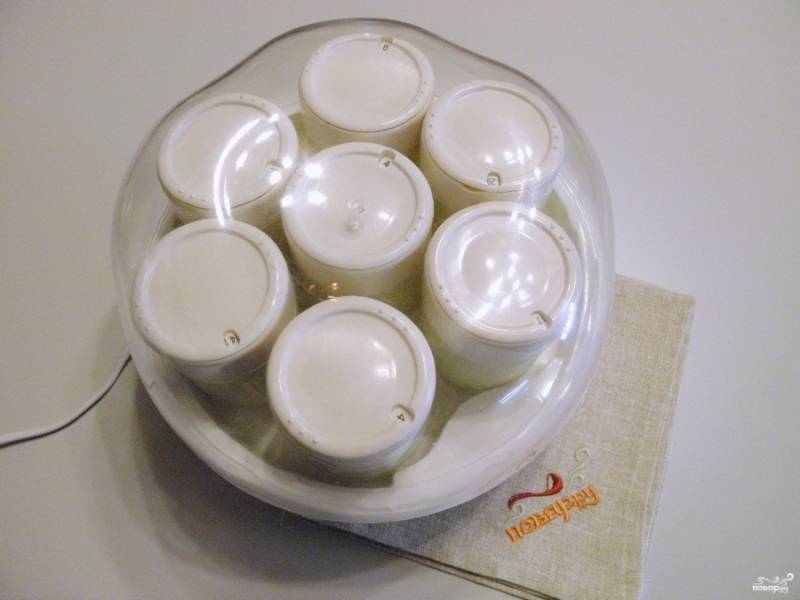 Йогурт на закваске Эвиталия рецепт с фото