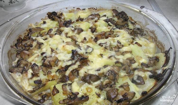 Рецепт вешенок с картошкой в духовке Пошагово с Фото — Готовим Грибы Вкусно, Просто, Быстро