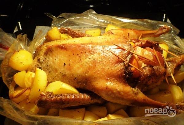 Запеченная утка с яблоками в рукаве рецепт с фото пошагово