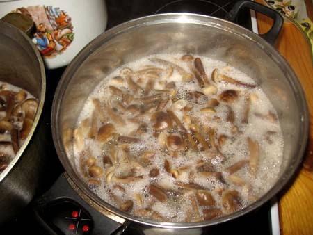 Теперь выкладываем грибы в кастрюлю, добавляем примерно 1-2 стакана воды и варим опята довольно долго, где-то 1-1,5 часа.