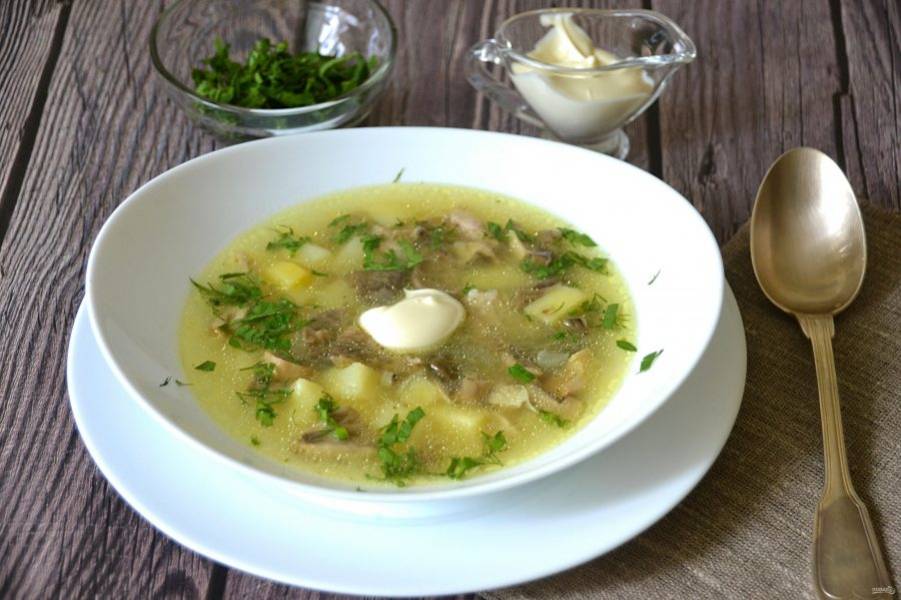Грибной суп из сыроежек: пошаговые рецепты с фото