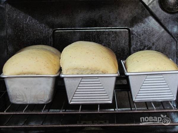 7. За это время разогрейте духовку до 180 градусов и отправьте потом выпекаться хлебушек до румяности. 