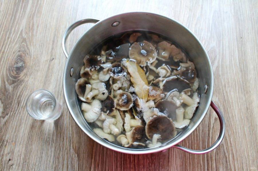 Жареные рядовки: рецепты, как правильно приготовить грибы