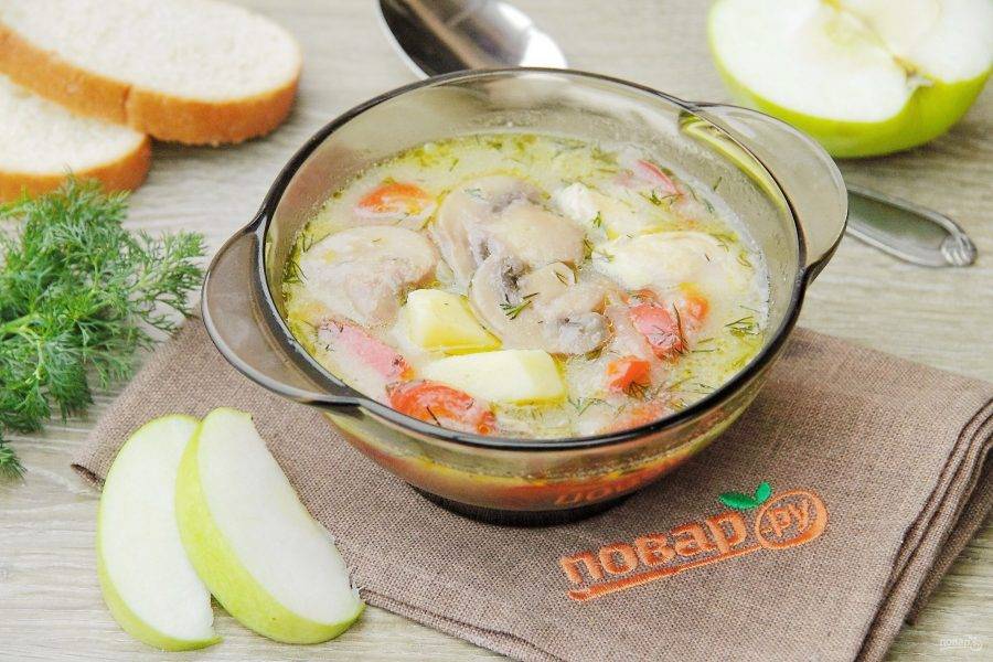 Суп с яблоками и курицей — рецепт с фото