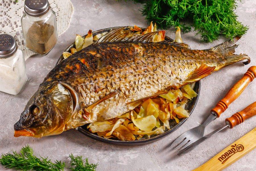 Запеките в течение 30-40 минут в зависимости от величины рыбы. Аккуратно выложите карпа и капусту на тарелку или блюдо и подайте к столу теплым. 