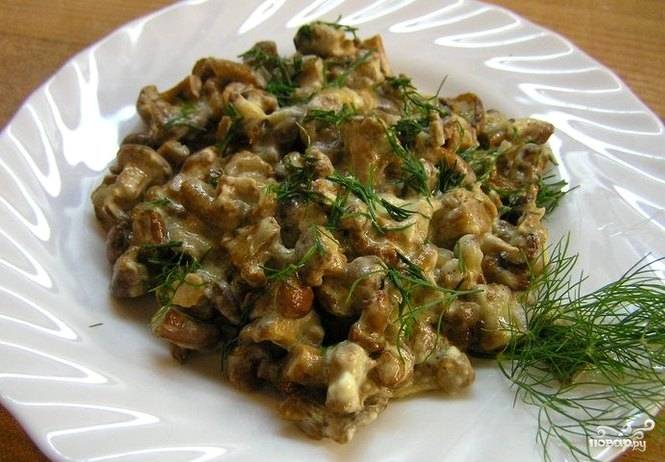 Белые грибы в мультиварке: рецепты с картошкой, гречкой, свининой, кроликом и другие блюда с фото