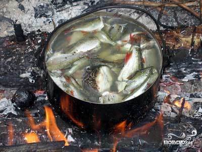 Уха из речной рыбы на костре рецепт пошаговый с фото - slep-kostroma.ru