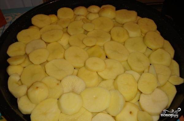 3. Очищенный картофель нарежьте тонкими кружочками. Форму для запекания смажьте маслом. Выложите картофель на форму в несколько рядов так, чтобы не оставалось просветов между кружочками.