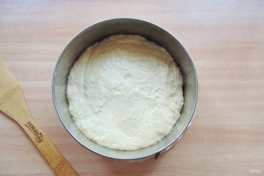 Выложите тесто в форму для выпечки с пергаментной бумагой. Накройте пищевой пленкой и дайте постоять в тепле 25-30 минут.