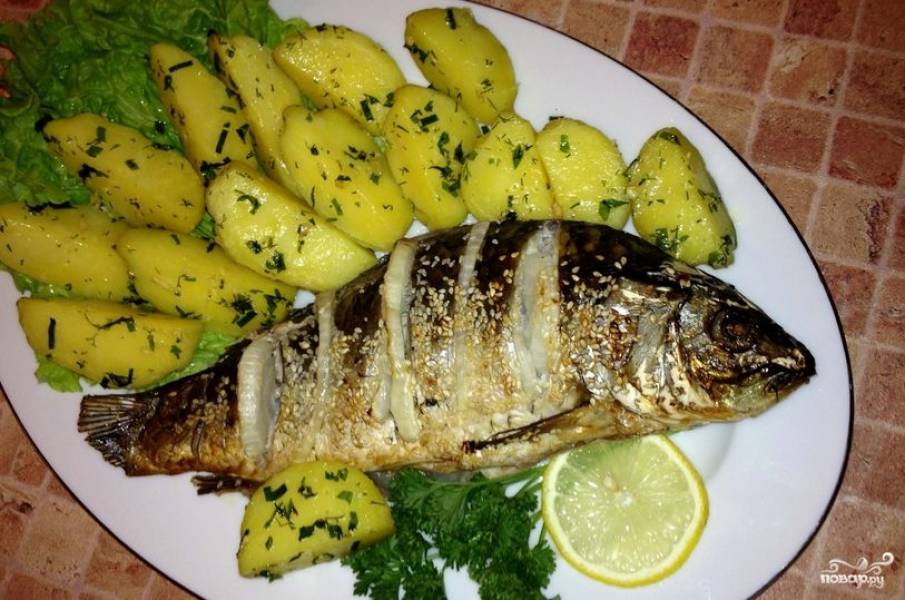 Блюда из рыбы. Пошаговые рецепты с фото простых и вкусных блюд из рыбы