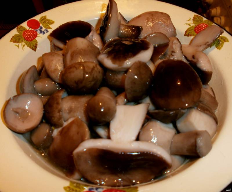 Жареные грибы с помидорами - пошаговый рецепт с фото на уральские-газоны.рф