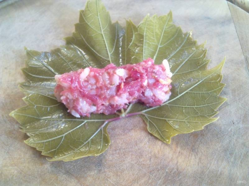 Рецепт голубцов из виноградных листьев с пошаговым фото и 15 рецептов долмы, которые порадуют ваш вкус