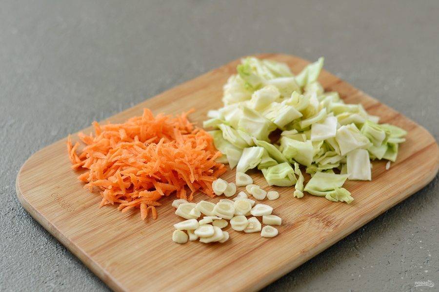 Капусту нарежьте небольшими квадратиками, чеснок пластинами, а морковь натрите на крупной терке.