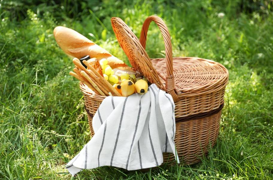 Список продуктов, которые лучше взять на пикник