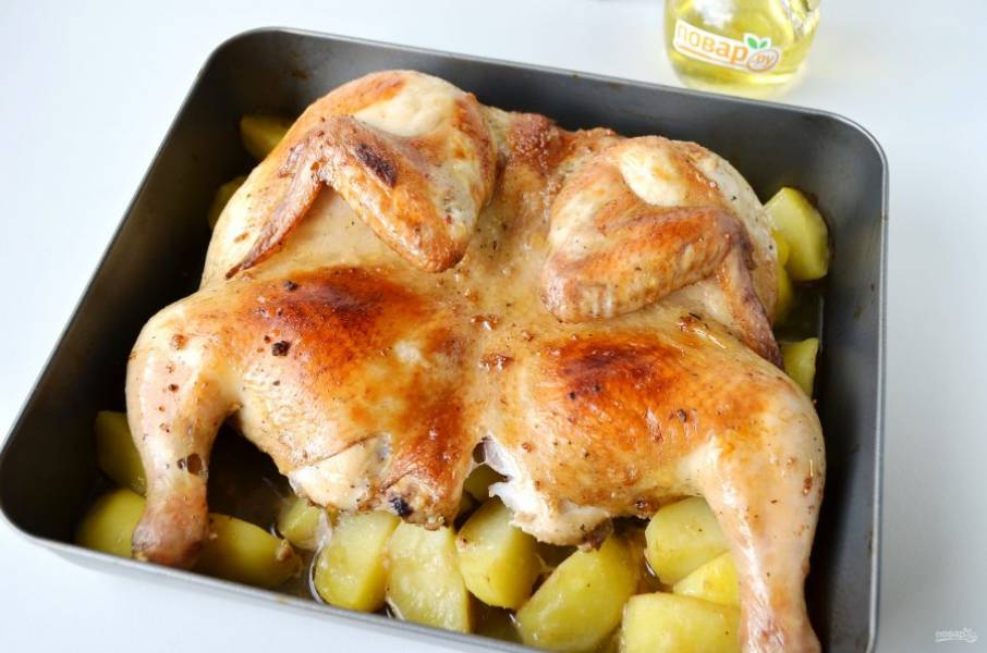 Курица с медом в духовке: простой рецепт вкусного мясного блюда