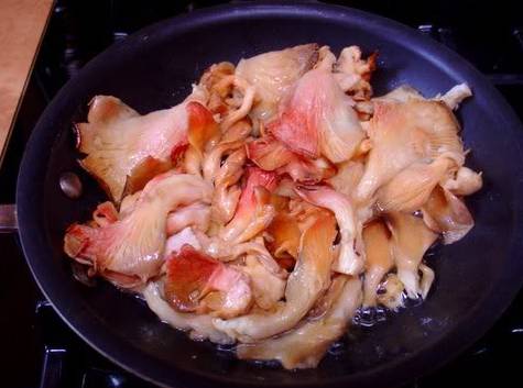 3. На отдельной сковороде в небольшом количестве масла слегка обжарьте грибы. В данном варианте приготовления грибов под соусом "Бешамель" используются розовые вешенки. 