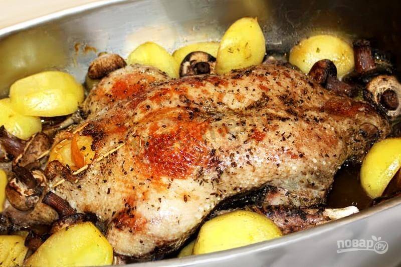 Рагу из утки: рецепты приготовления с картофелем и овощами