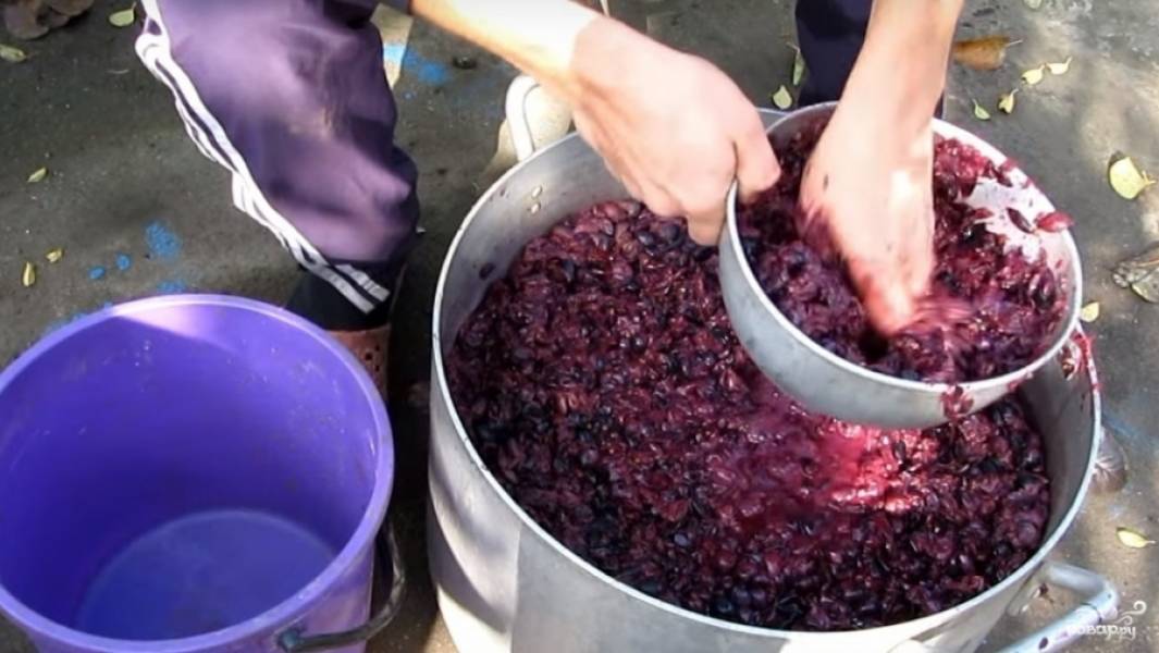 Вино приготовление винограда. Брага из винограда. Брага из жмыха винограда. Вино из винограда. Домашнее вино из винограда.