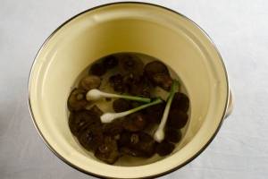 Грибы промойте и бросьте в кипяток с луком на 15 минут. Это делается для дезинфекции грибов.