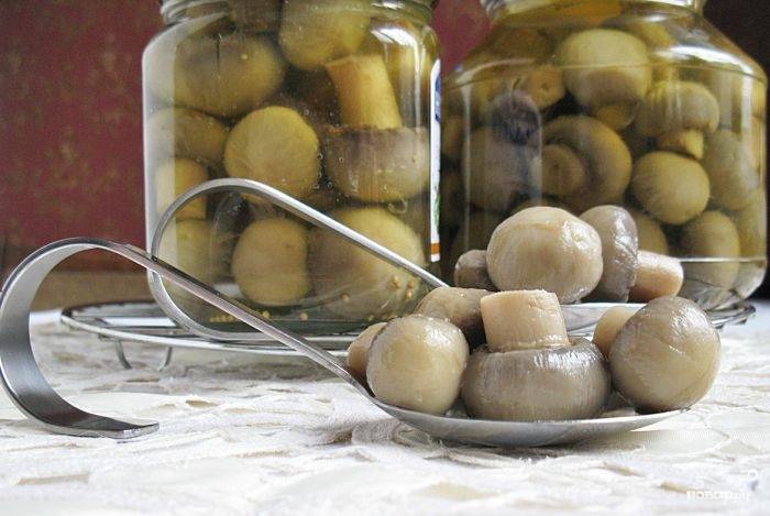 Консервированные шампиньоны в духовке – пошаговый рецепт приготовления с фото