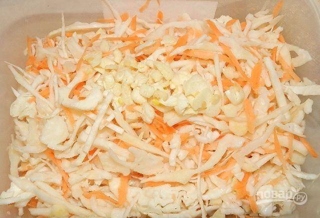 Теперь смешайте капусту и морковь. Добавьте к ним измельчённый чеснок.