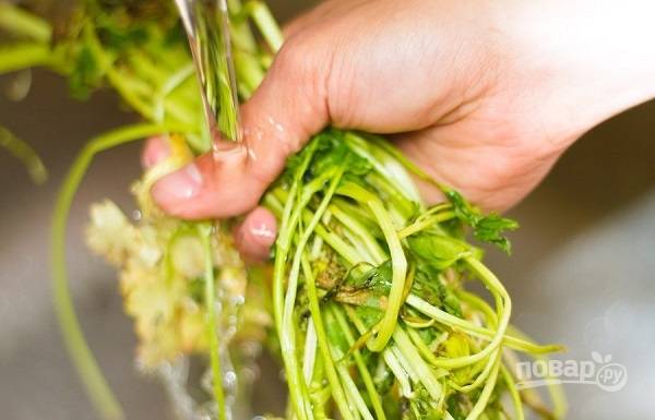 2. Вымойте и обсушите зеленый лук и листья кориандра, измельчите. 