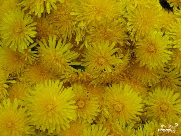Соберите несколько кружек одуванчиков, чтобы их вес составлял около 150 грамм. Хорошо вымойте цветки и просушите их. Лучше сушить цветки естественным способом.