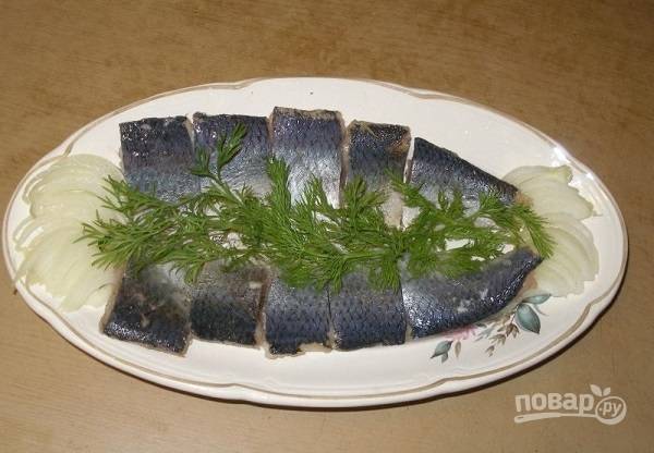 Сколько времени солится рыба в домашних условиях и как приготовить вкусную закуску к празднику в домашних условиях