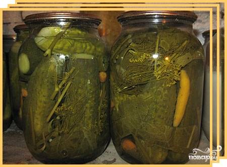 Огурцы по-польски на зиму