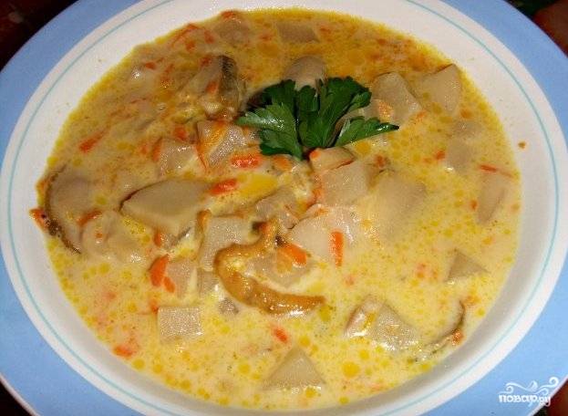 Грибной суп из свежих грибов — рецепт с фото пошагово. Как сварить суп из свежих белых грибов?