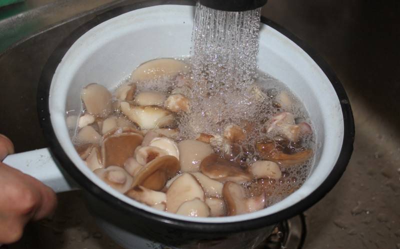 Затем грибы промываем под холодной проточной водой.