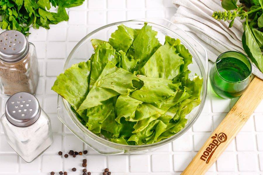 10 видов зеленого салата и 6 потрясающе простых рецептов с ним | MARIECLAIRE