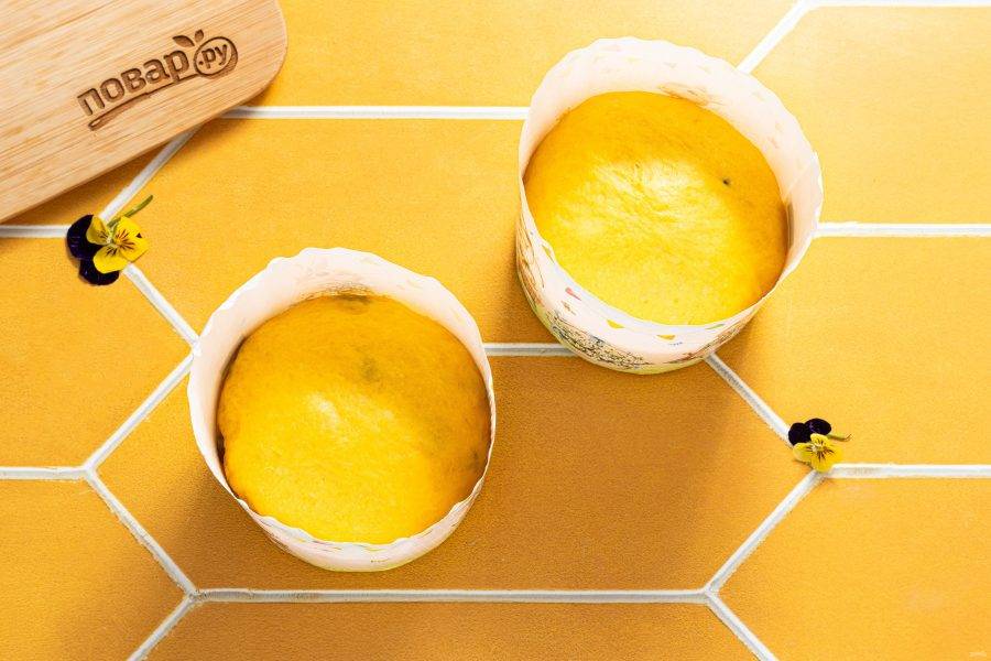 Выложите шарики в бумажные формы для куличей. У меня две формы диаметром по 12 см. Тесто должно заполнять форму не больше, чем наполовину. Накройте формы пленкой и дайте постоять 40-60 минут.