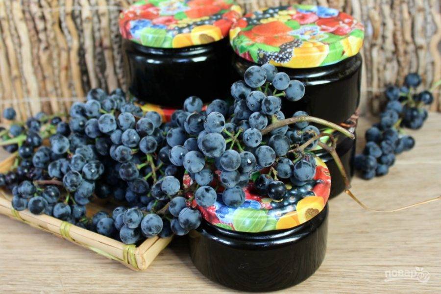 Мускатный синий виноград