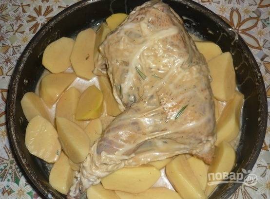 Возьмите форму для запекания, в которой вы будете готовить блюдо. Лучше, чтобы она была с антипригарным покрытием. Выложите в нее картофель и присолите. На картофель положите тушку фазана, сверху щедро полейте остатками маринада. 
