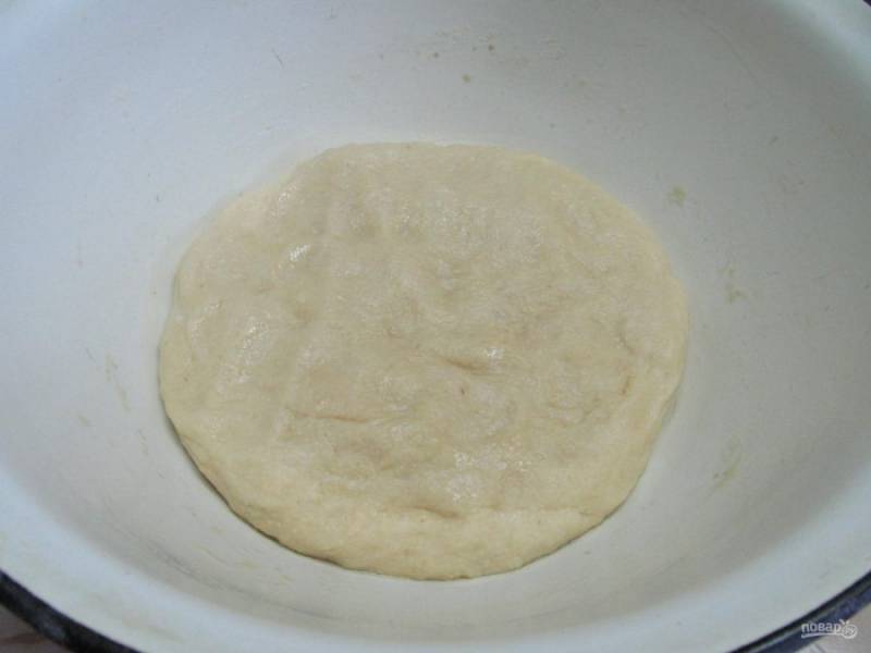 Миску смажьте растительным маслом, выложите тесто, накройте пленкой и поставьте в теплое место на 1 час. 