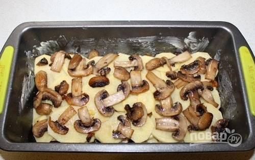 Далее выложите картофель и вновь лук с беконом. Снова картофель и слегка обжаренные грибы пластинками. Затем распределите оставшийся картофель и бекон с луком.